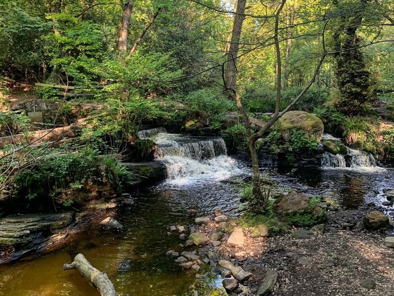 A small water fall on the  Rivelin Valley Trail.