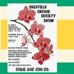 Poster for Sheffield Orchid Society Annual Show.