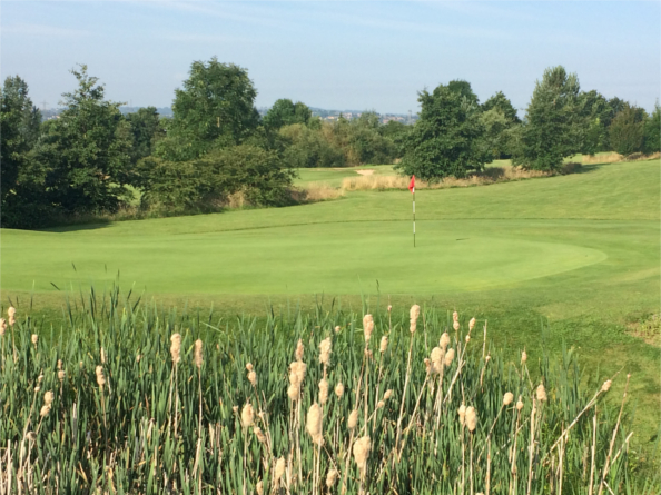 One of the greens at Rother Valley Golf Centre.