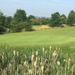 One of the greens at Rother Valley Golf Centre.