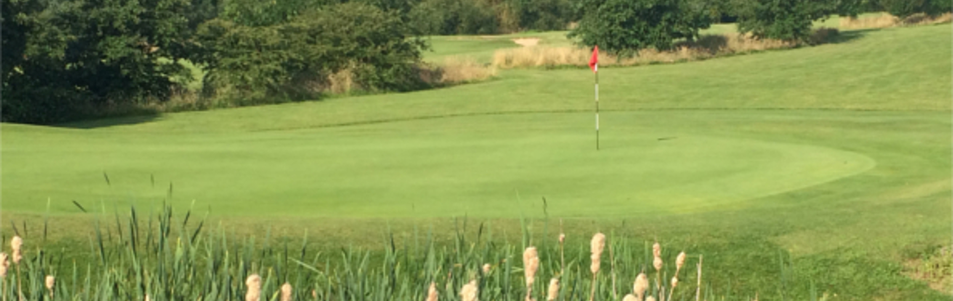 One of the greens at Rother Valley Golf Centre.