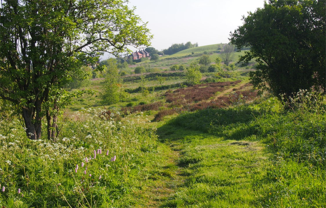 A view of Manor Fields Park.