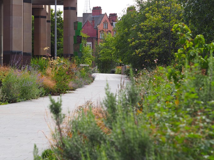 Urban pathway in between lush green planting at the Grey to Green corridor in Castlegate
