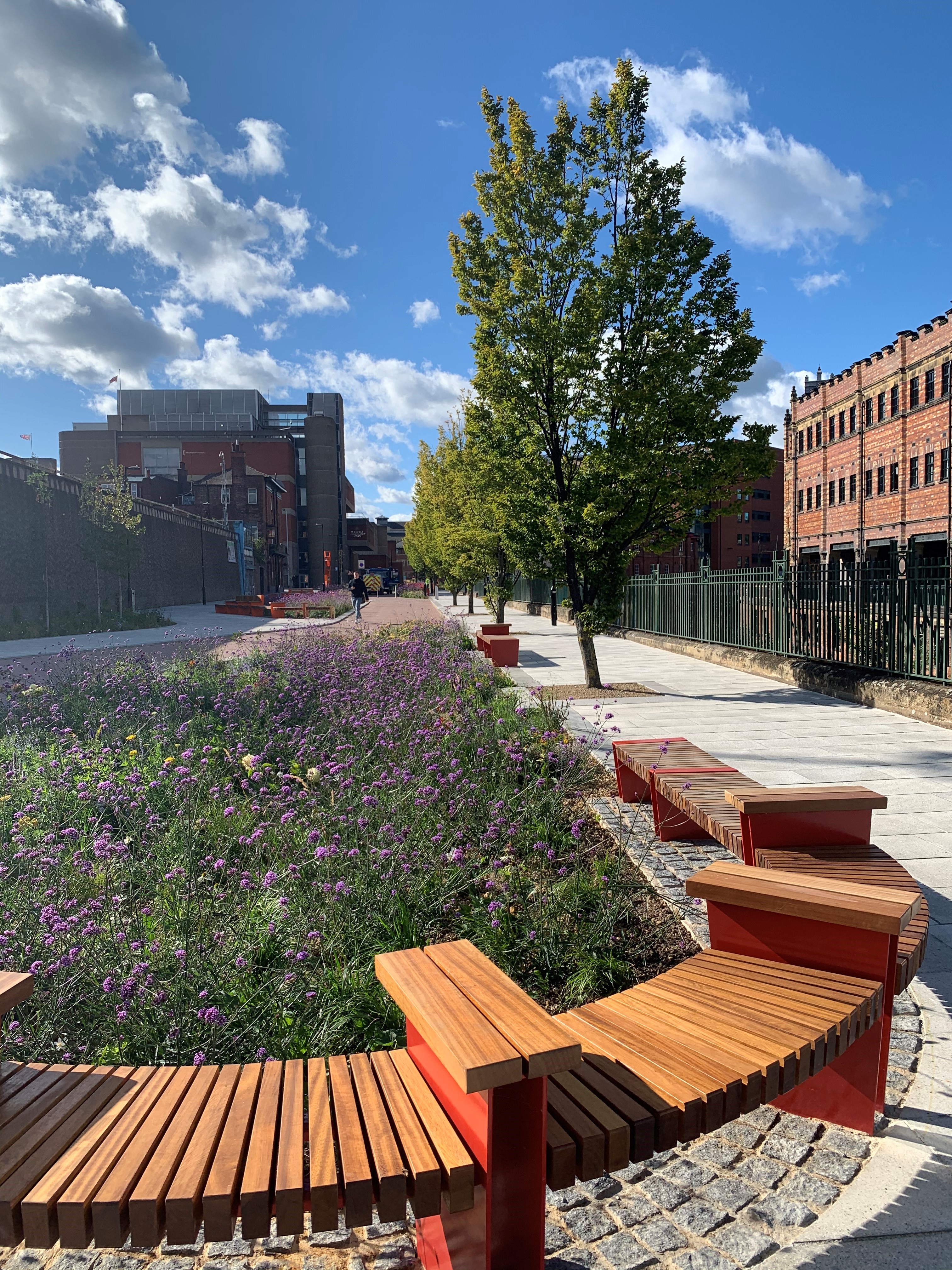 Benches and flower beds full of grasses and wild flowers.