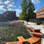 Benches and flower beds full of grasses and wild flowers.
