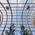 The roof of the Sheffield Winter Garden.