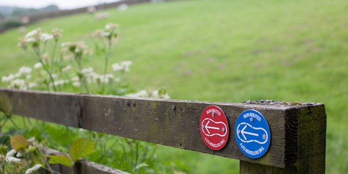 A wooden fence with two circular trail markers attached to it, one red and one blue, each showing a white arrow symbol. Behind the fence is a grassy field with wildflowers in the foreground and a stone wall in the distance.