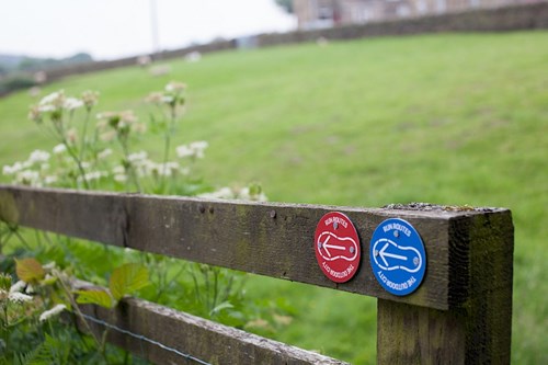 A wooden fence with two circular trail markers attached to it, one red and one blue, each showing a white arrow symbol. Behind the fence is a grassy field with wildflowers in the foreground and a stone wall in the distance.