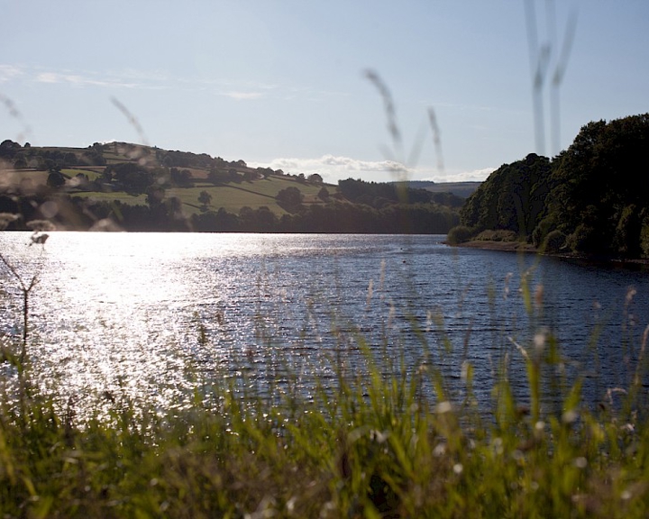 Bradfield Reservoir with the sun glinting off the water. 