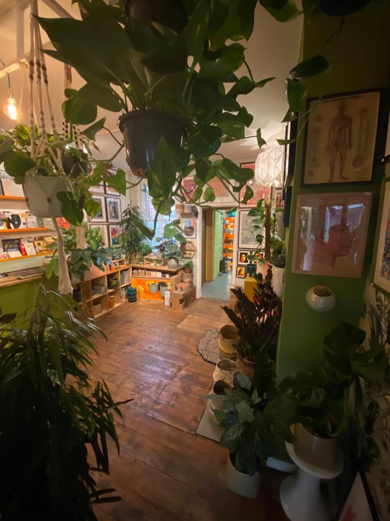 The inside of the Gravel Pit Shop. The shop is filled with wooden shelves packed with a huge array of potted plants.