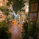 The inside of the Gravel Pit Shop. The shop is filled with wooden shelves packed with a huge array of potted plants.