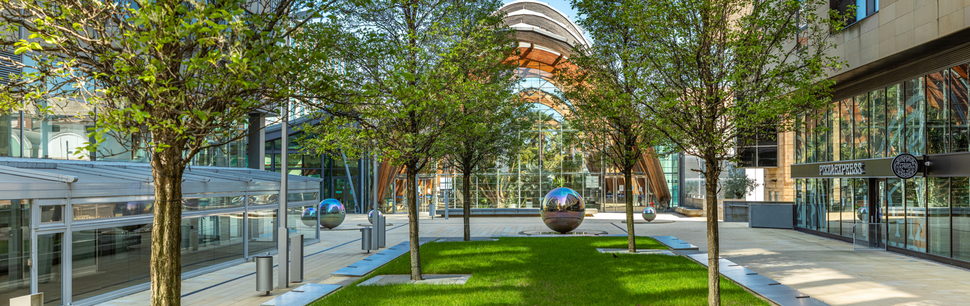 Trees, sculpture and the Sheffield Winter Garden in the sunshine.