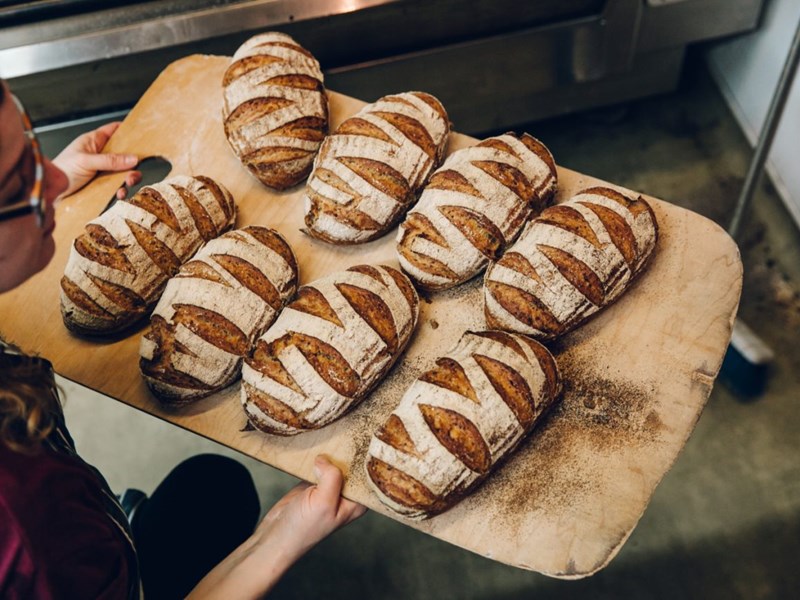 Eight loaves of bread being taken out of the oven.