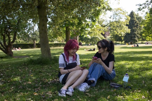 Two people sitting on the grass in a park, under a tree.
