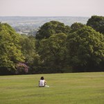 An open grass area surrounded by trees at Graves Park.