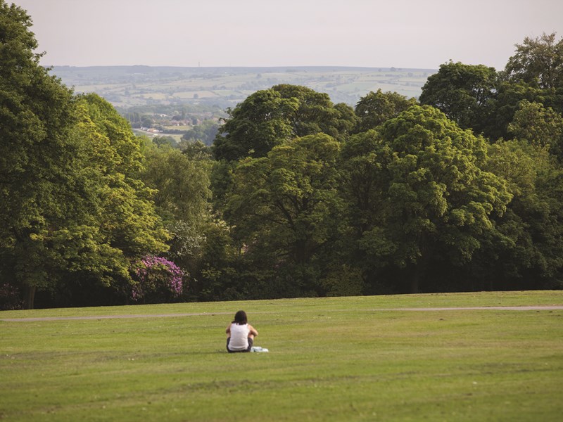 An open grass area surrounded by trees at Graves Park.