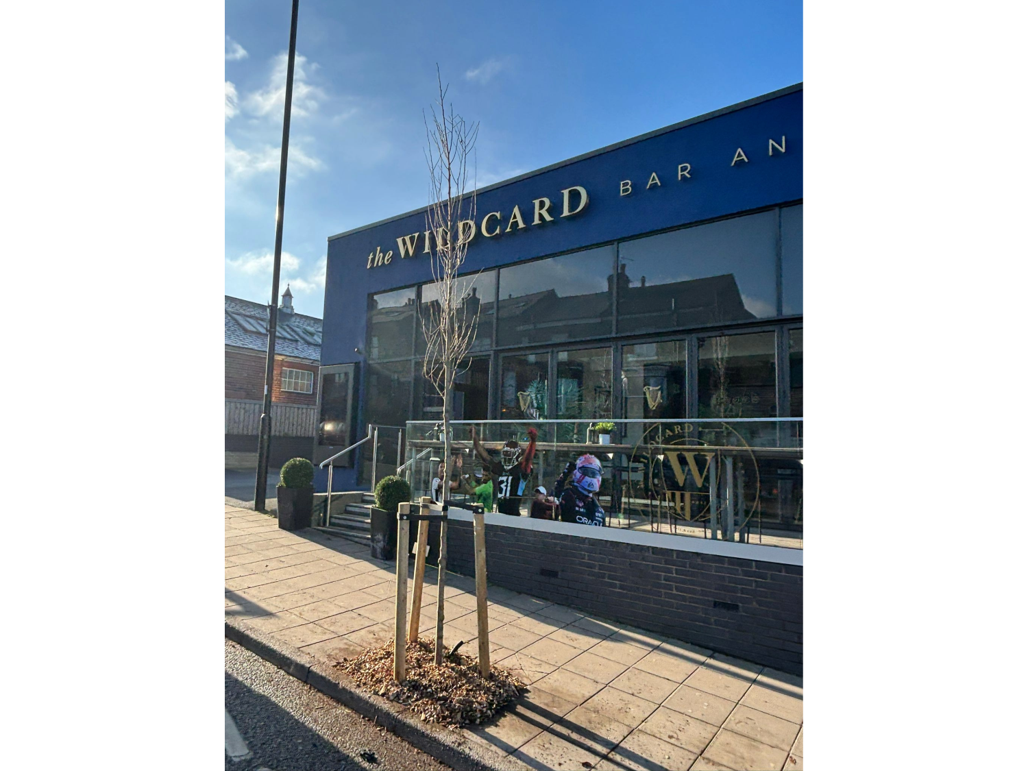 Young tree planted on a paved sidewalk in front of a building with signage reading ‘The Wildcard Bar’. The tree is supported by two wooden stakes and surrounded by mulch. The building has large glass windows and a dark blue facade under a clear sky.