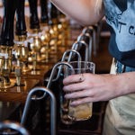 A member of staff, at The Fat Cat, pulling a pint.