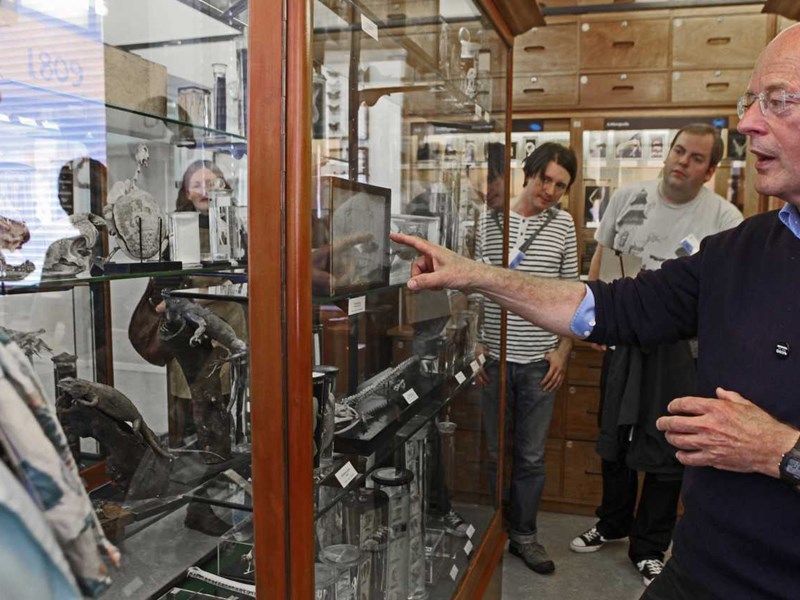 A group of people having a guided tour around The Alfred Denny Museum Of Zoology.