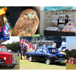 A selection of images from past Sheffield Fayre, including a singer, a bird of prey, a stall selling cards and prints, a vintage  fire engine, a vintage police car and a fair.