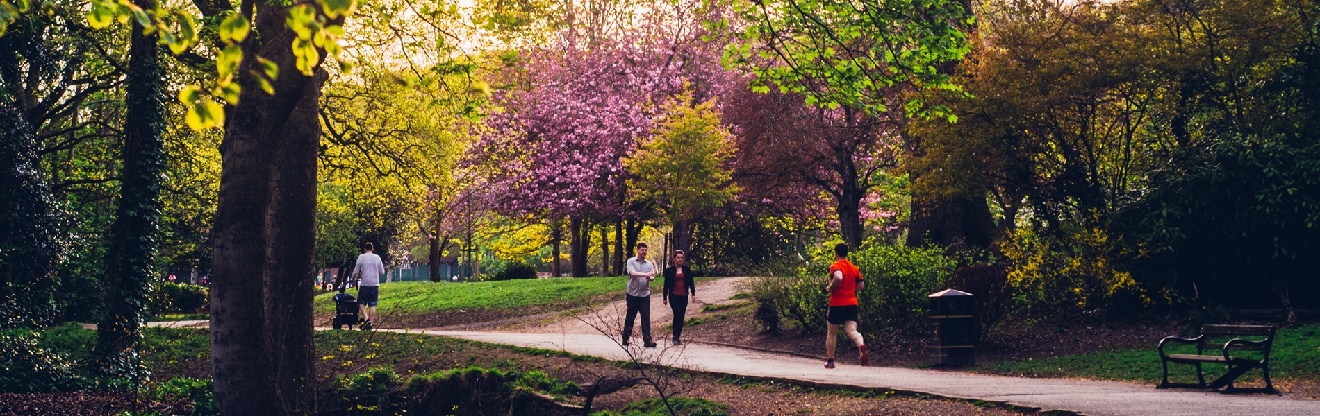 A path through a wooded are in Endcliffe Park. © Shane Rounce