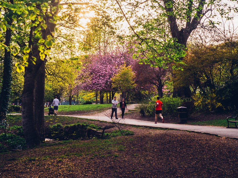 A path through a wooded are in Endcliffe Park. © Shane Rounce