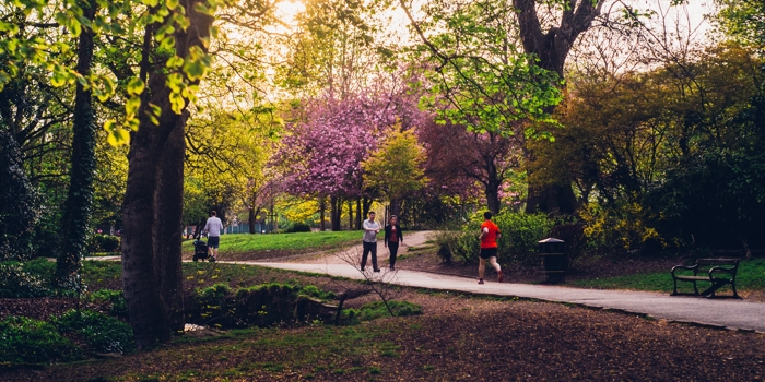 A path through a wooded are in Endcliffe Park. © Shane Rounce 