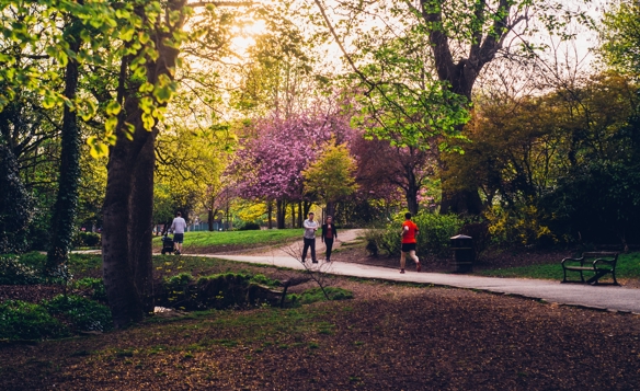 A path through a wooded are in Endcliffe Park. © Shane Rounce 