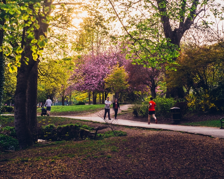 A path through a wooded are in Endcliffe Park. © Shane Rounce 