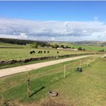 A bridal path through the countryside. 