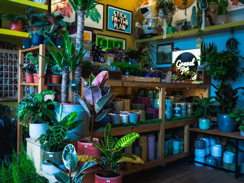 The inside of the Gravel Pit Shop. The shop is filled with wooden shelves packed with a huge array of potted plants.