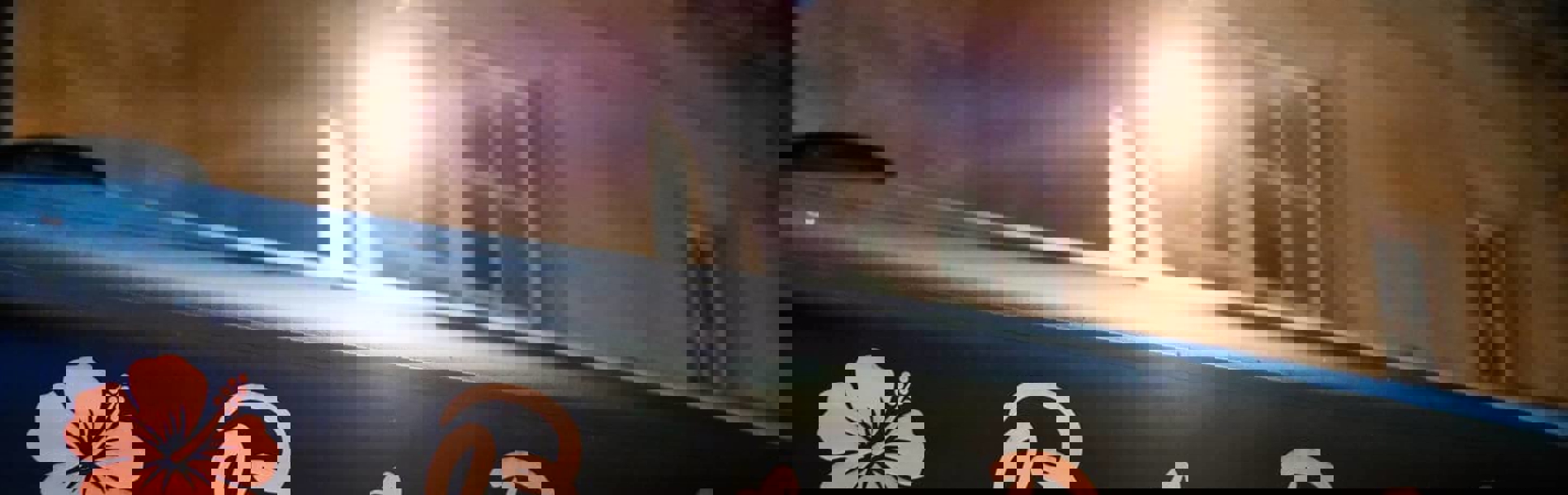 The Bamboo Door awning. 