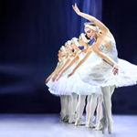 A row of ballerinas performing Swan Lake.