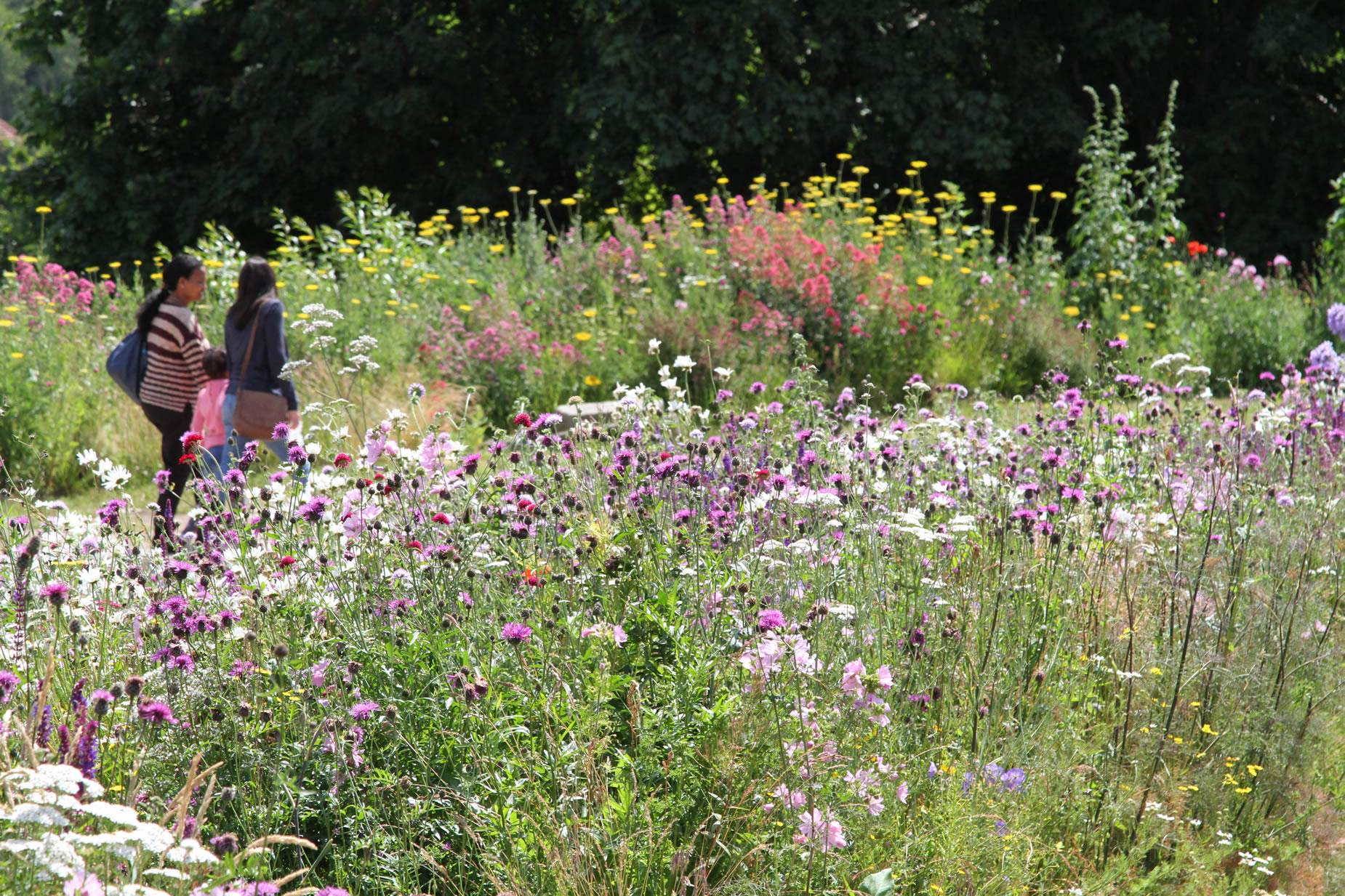 A family walking around the grounds at Sheffield Manor Lodge.