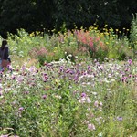 A family walking around the grounds at Sheffield Manor Lodge.