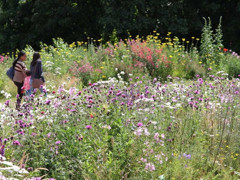 A family walking around the grounds at Sheffield Manor Lodge.