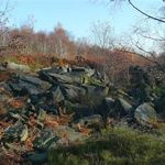 Wadsley and Loxley Common