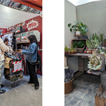 A clothes stall and a plant stall in the Red Brick Market.