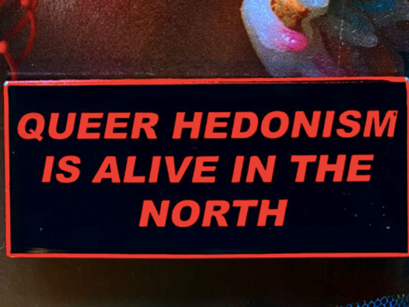 A sign that reads 'Queer hedonism is alive in the north'.