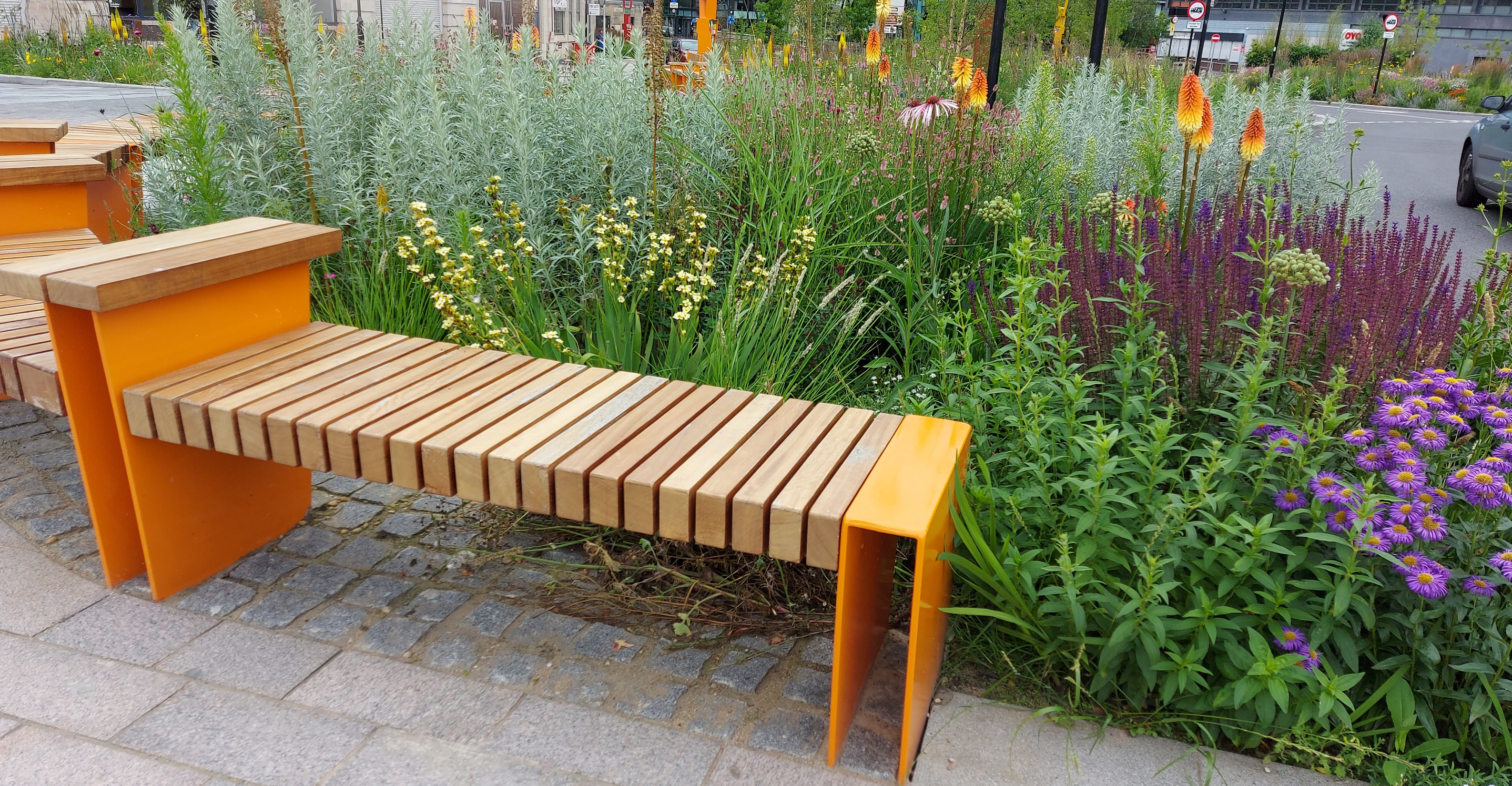 Garden bench surrounded by lush green plants.