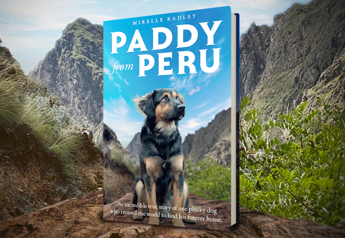 A book is stood on a path in the countryside.