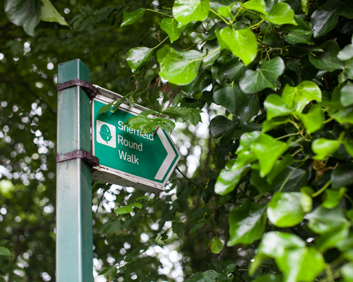 Green Sheffield Round Walk sign beneath the trees.