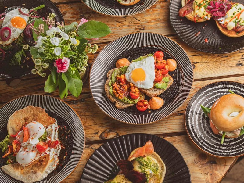 Eight different dishes laid out on a wooden table.
