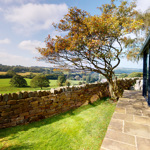 Scenic view of open countryside with rolling fields and distant trees.
