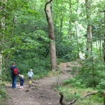 A mother and two children walking along a track in the woods.