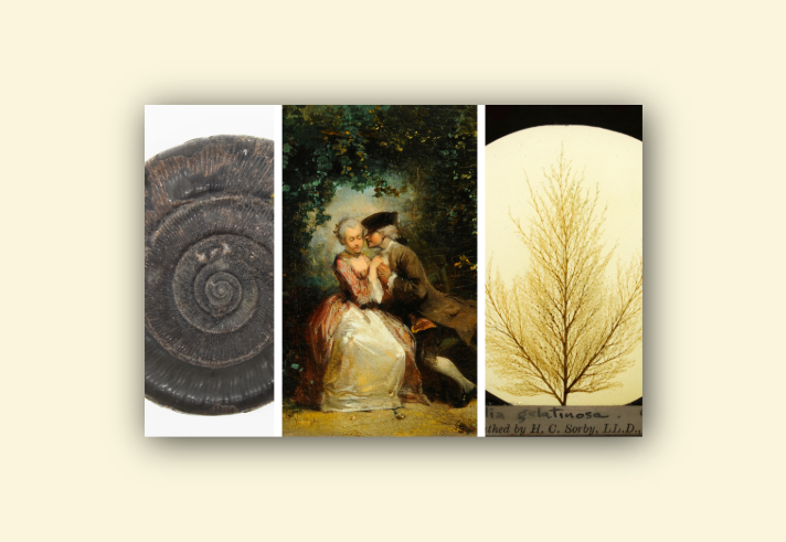 A composite image showing three items: on the left, a dark fossil with a spiral shell pattern; in the center, a classic painting of two people seated outdoors in historical attire, surrounded by greenery; on the right, a delicate tree-like structure displayed against a light circular background with handwritten text partially visible at the bottom.