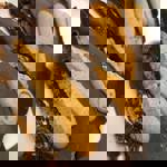 Cakes on display at the Millhouses Park Cafe.