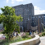 Pound's Park full of people playing and having fun on a sunny day.