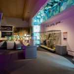 A display at the Weston Park Museum.