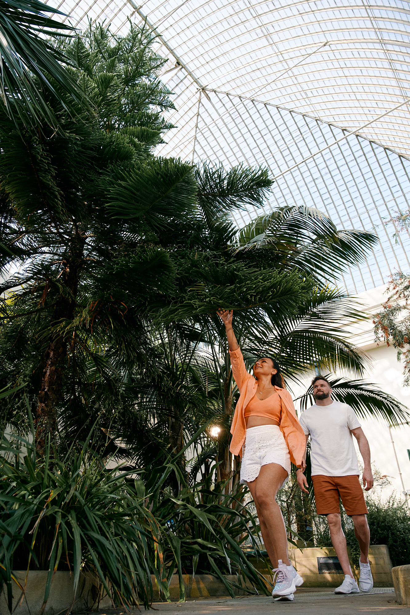 A couple walk through the Glass House at Sheffield Botanical Gardens.